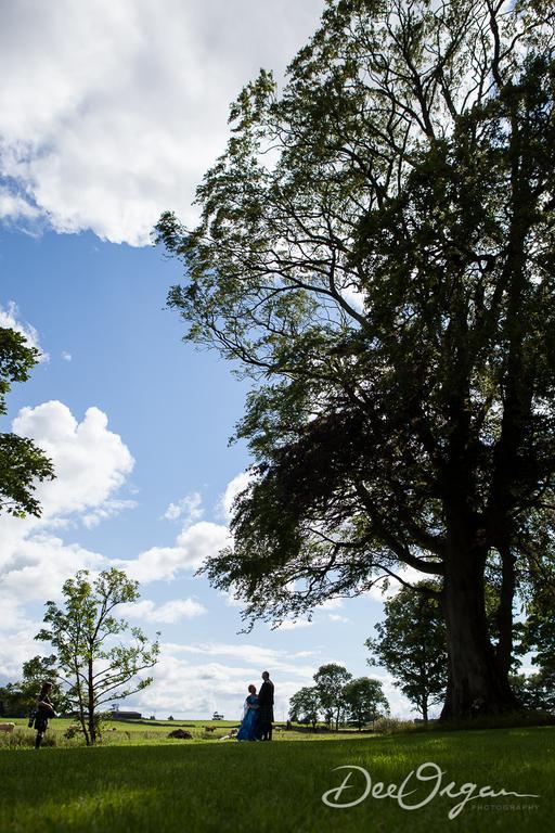 Galway Glamping Hotell Tuam Eksteriør bilde