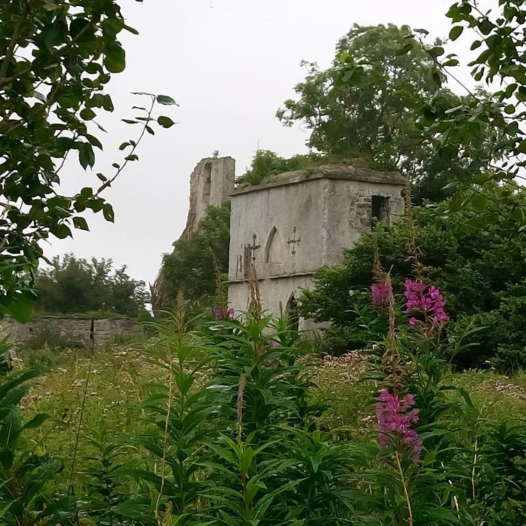 Galway Glamping Hotell Tuam Eksteriør bilde