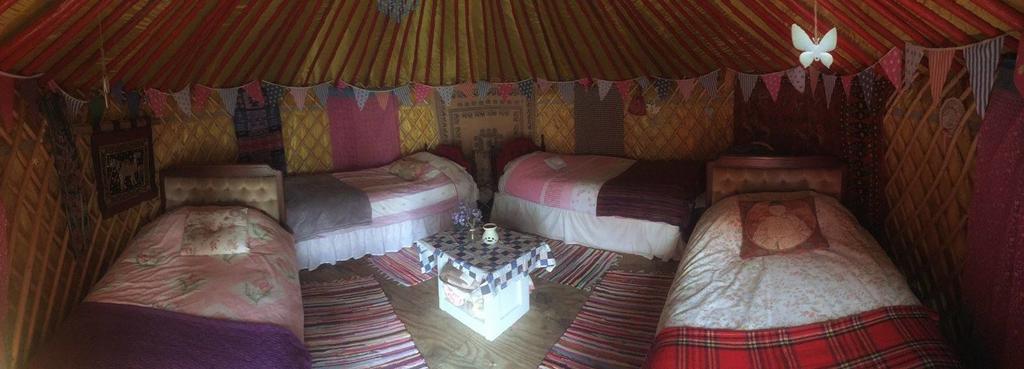 Galway Glamping Hotell Tuam Eksteriør bilde